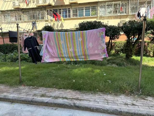 聚向心力提升居民幸福感K8凯发天生赢家文明凝(图2)